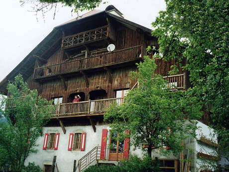 Chez Pascale - Gentiane jaune