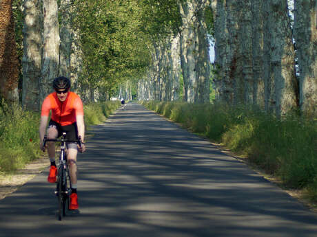 Boucle cyclable F7 : balade au fil de l'eau à vélo : Saint-Laurent-La-Conche / Etangs de Feurs