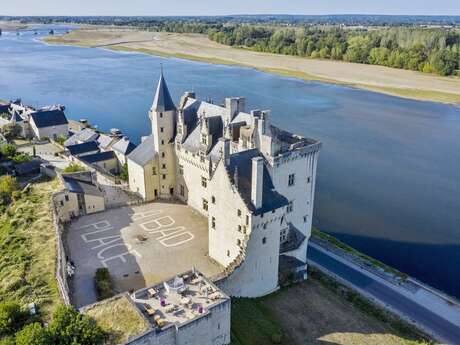 Castle of Montsoreau, Museum contemporary art