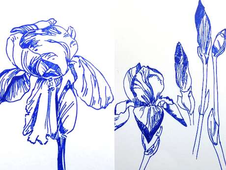 Amélie Gouraud, dessinatrice-sérigraphe