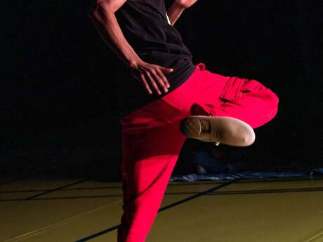 Spectacle Des danses & des luttes