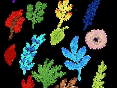 Atelier pédagogique : Fleurs de printemps