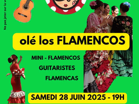 Spectacle Olé Los Flamencos