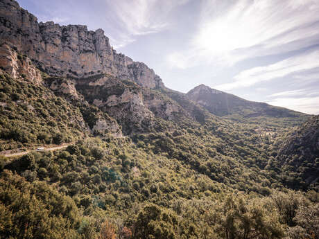 La Colle de l'Olivier