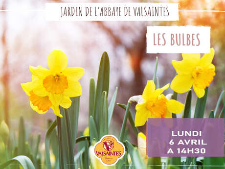 Les bulbes de Valsaintes