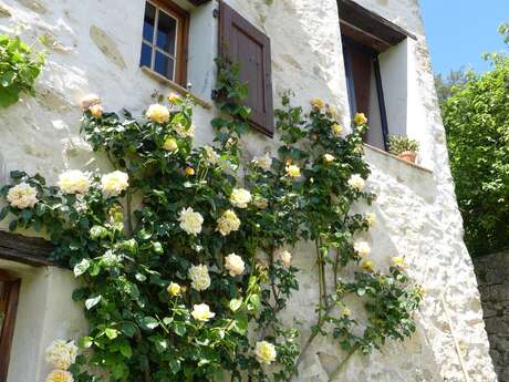 Chambres d'hôtes Le Chaméléon