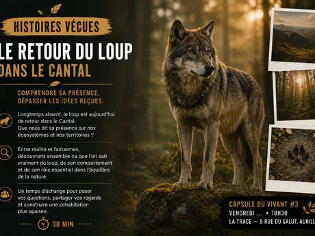 Capsules du vivant - Le retour du loup dans le cantal-Événement exceptionnel