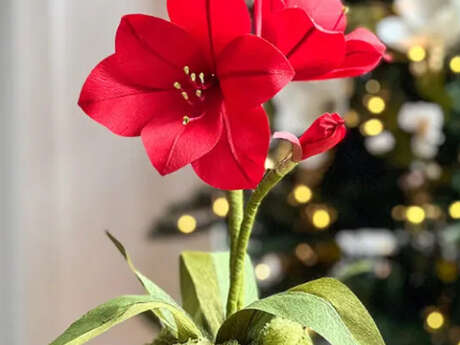 Journées européennes des métiers d'art - Ouverture de l'atelier Jacqueline Zoffany Art - Jacqueline Hurley fabricante de fleurs géantes en mousse et en papier crépon et démonstrations