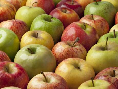 Le Meilleur du fruit