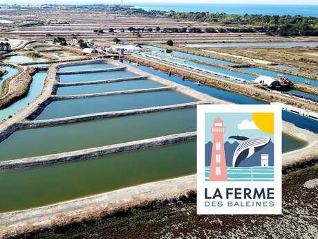 Ostras y plantas de pantano de la Ferme des Baleines