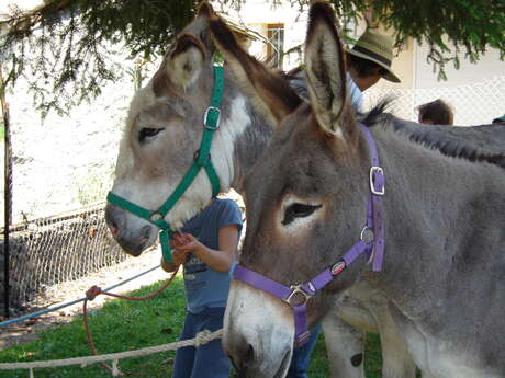 Au pays d'Heidi, autour de la ferme et des ânes en contes et légendes