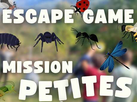 Escape game les petites bêtes.