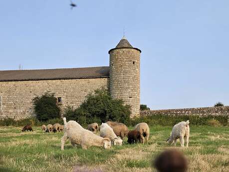 L'écho-domaine du château du Mazel