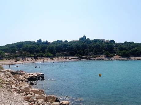 The laurels, between land and sea