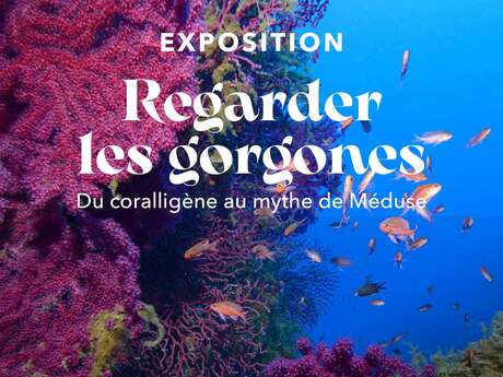 Exposition "Regarder les gorgonnes" Du coralligène au mythe de Méduse