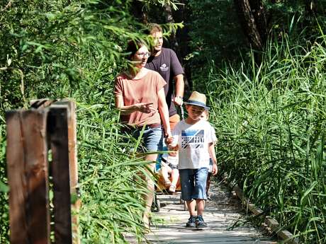 The Liou wetland