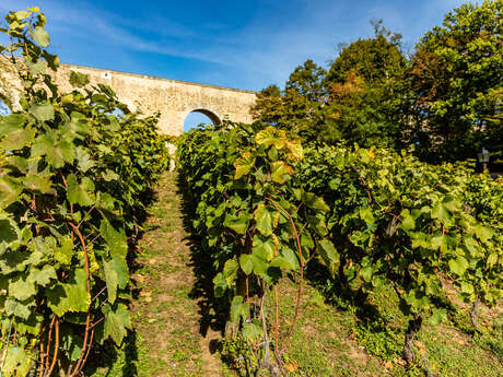 Les Coteaux de Louveciennes