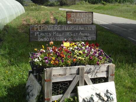 Pépinière Fleurs d'Avettes