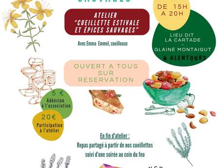 Cueillette et cuisine de plantes sauvages