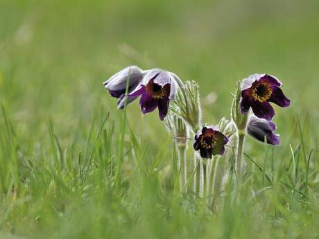 Exposition : "Hautes en couleurs"