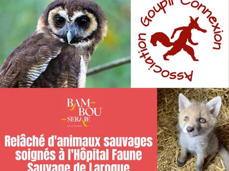 Assistez au relâché d'animaux sauvages à la Bambouseraie !