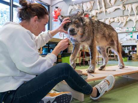 Les Rencards du Château :  Plus vrais que nature