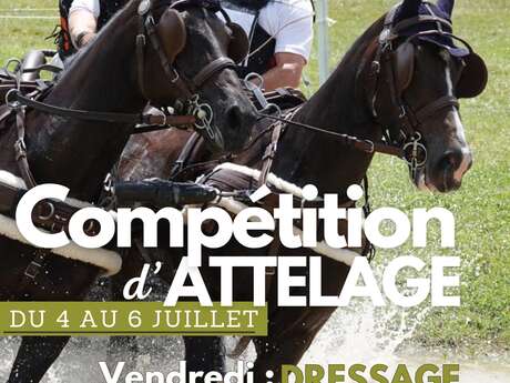 Concours d'Attelage