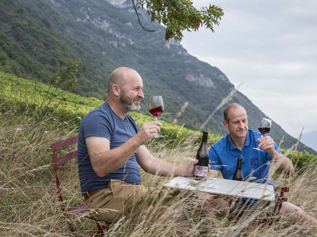 Domaine La Combe des Grand'Vignes