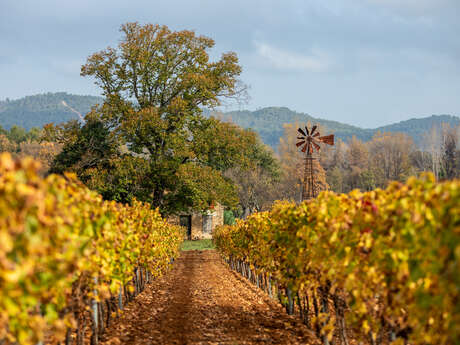 Le Bastidon avec piscine