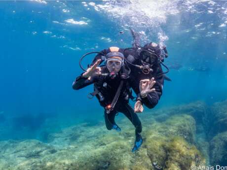 Baptême de plongée en last minute