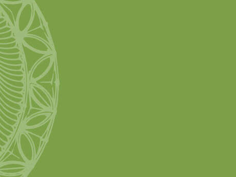 Apprentissage du yoga kundalini