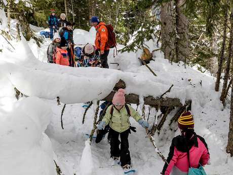 Sortie raquettes famille : petits Lapons