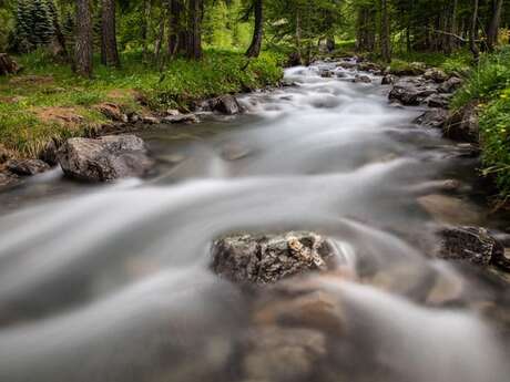 Trail N°25 - D'Oréac à Narreyroux