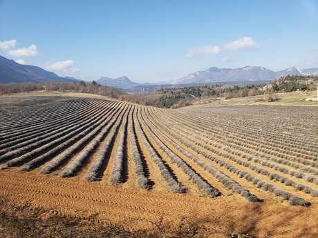 Sur les hauteurs de Laragne by bike