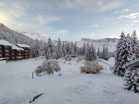 Cocon Alpin - 26 m² - n° 620