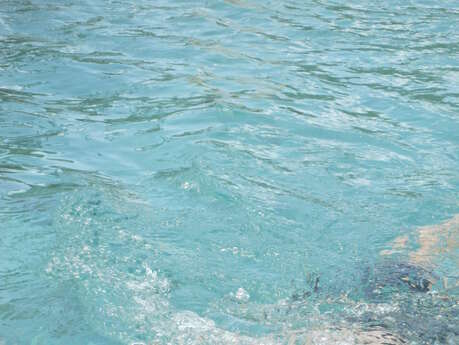 Cours de natation à domicile par Swim and Surf