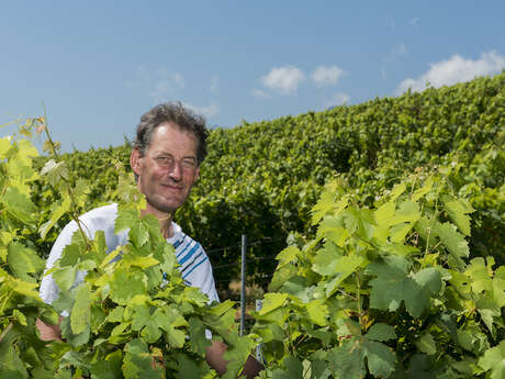 Apéro'vignes aux Fruits de la Treille