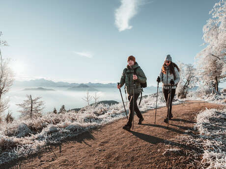Boucle pédestre - La crête des Voirons