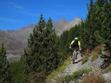 AlpineSingletrack