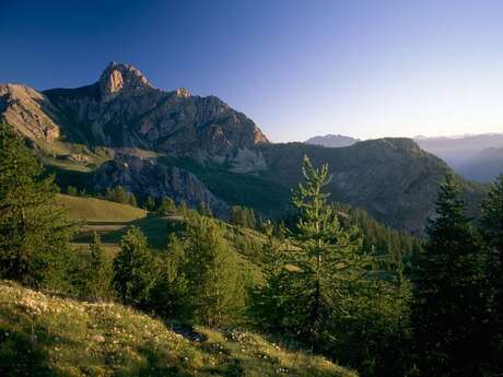 Maxi Goureng (trail route no. 14)