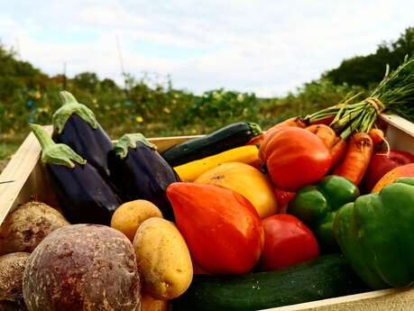 La Terre Ferme