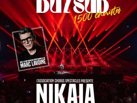 Le Choeur du Sud avec Marc Lavoine