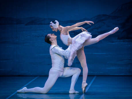 Festival International de Ballet : Le Lac des Cygnes Festival International de Ballet : Le Lac des Cygnes