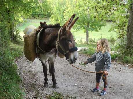 Barroud'âne en Vercors