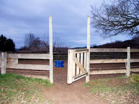 Claire Dantzer  –  Le cheval de paille