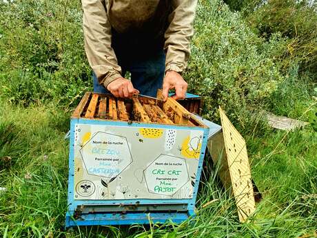 Bienenstock-Sponsoring von L'Abeille de Ré