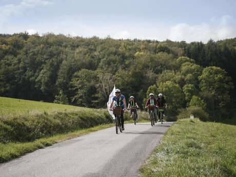 Discover Côte-Rôtie with Wine and Ride (half-day)