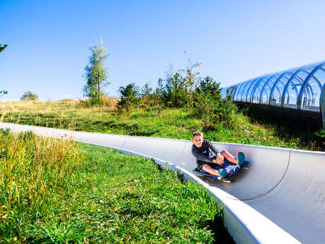 Luge d'été