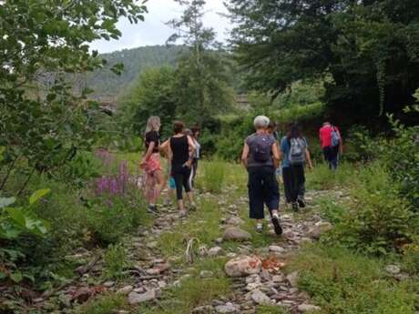 Atelier - Herbier forestier - avec Racines de Terriens