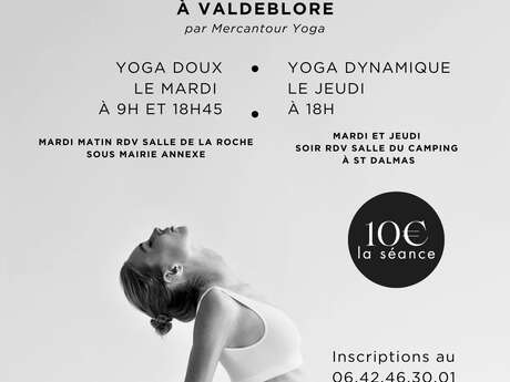 Cours de Yoga - Camping St Dalmas Valdeblore